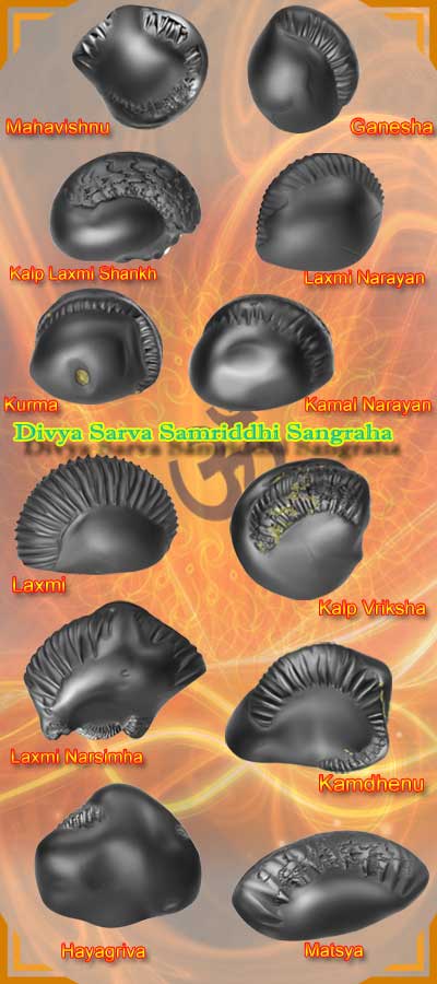 Auspicious Divya Sarva Samriddhi Sangraha-DSSS001